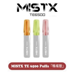 MISTX TE 6500 Puffs「鴨嘴獸」一次性抛棄式電子煙【10款現貨】